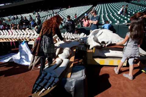 Parents and children get up close to the bones of a gray whale on the field of AT&T Park.