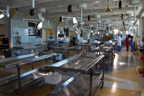 UCSF Anatomy Learning Center