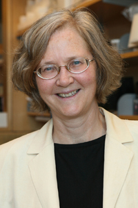Elizabeth Blackburn, PhD