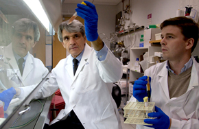 Stephen Hauser, MD, works with Pierre-Antoine Gourraud, PhD, in the lab