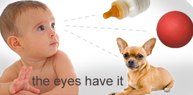 Photo of baby looking at a bottle, ball and little dog