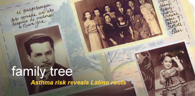 Various Latino family photos