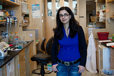 Hana El-Samad, PhD