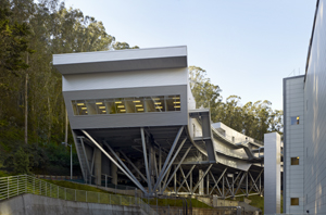 UCSF Stem Cell Image 1