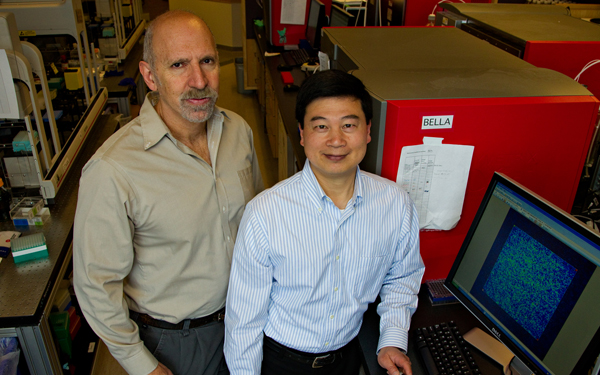 UCSF's Neil Risch and PuiYan Kwok