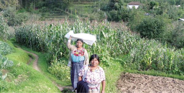 Two traditional birth attendants in the highlands of Guatemala