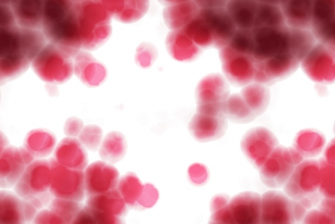 red blood cells are shown in a microscopic image