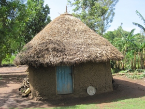 Photo of a typical patient home in Tororo, Uganda