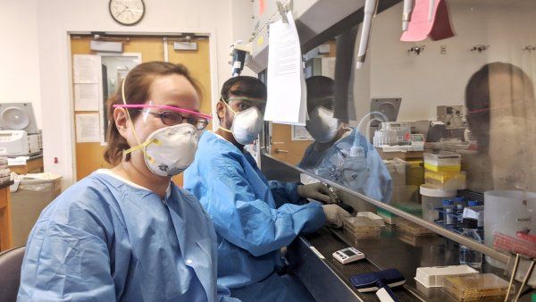 two researchers work in the lab