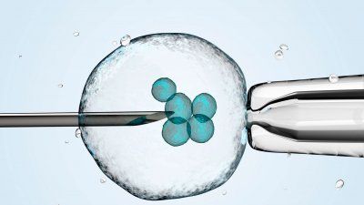 IVF-in-vitro-illustration.jpg