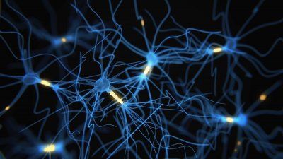 brain-synapse-neuron-network.jpg