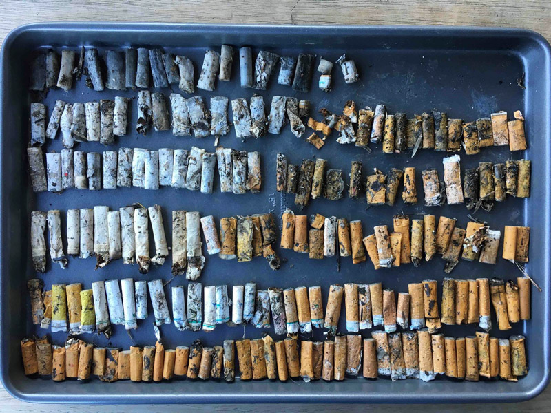 cigarette butts in a pile