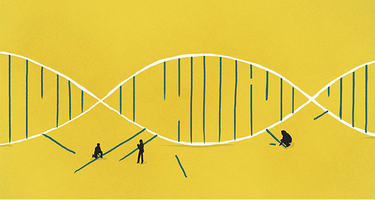 Illustration of small silhouettes of people taking apart and putting together a double helix. 