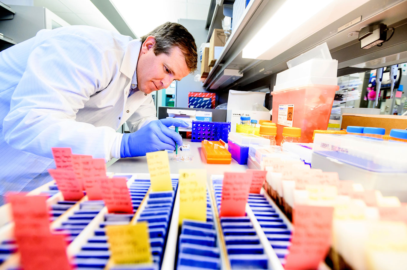David Solomon (left) extracts DNA from brain tumor tissue for genomic testing in a lab. In the forefront, there are blue testing trays with yellow and red notes sticking out. 