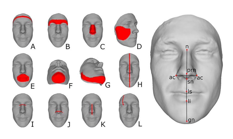 3D renderings of a subject's facial landscape with areas on the forehead, brow, nose, cheeck, lips, chin, and jaw marked in red to visualize facial landmarks. 