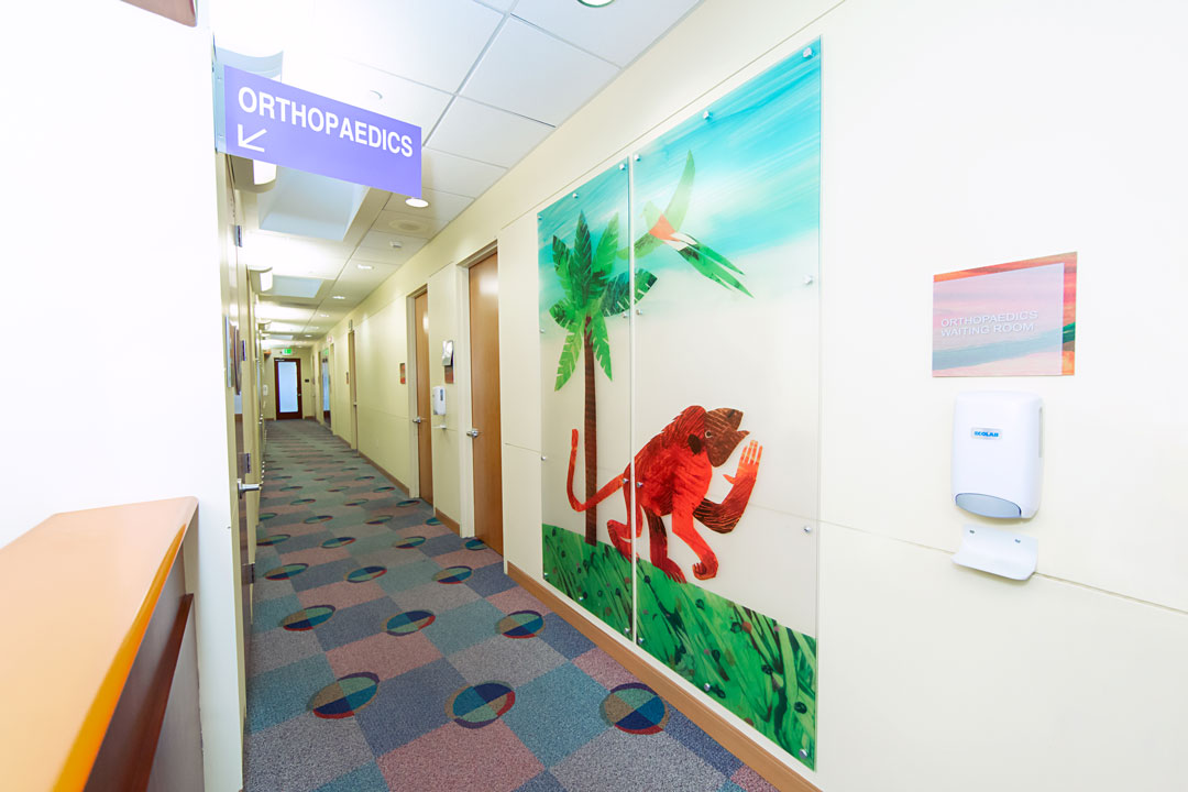 Orthopaedics wing of the Benioff Children's Hospital Walnut Creek Outpatient Center. A hallway leading to exam rooms. To the right is decorative wall art of a monkey and quetzal bird.