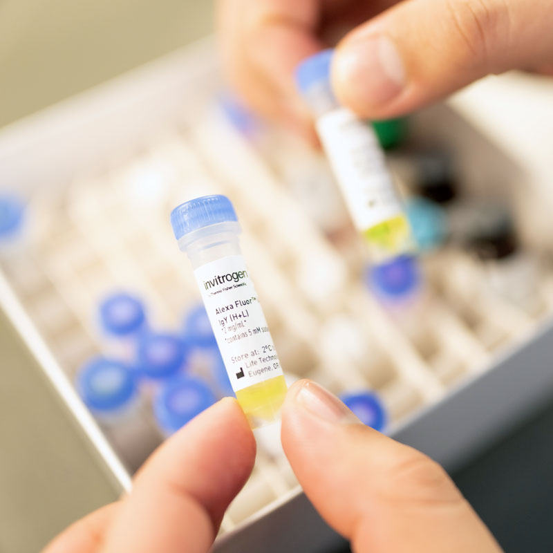 A close-up shot of a researcher's fingers holding small vials of medication for a research study