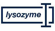 A text input box that has the word "lysozyme" and a text cursor at the end, indicating that the word "A text input box that has the word "lysozyme" was typed into a text input box