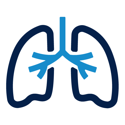 A graphic icon of a pair of lungs.