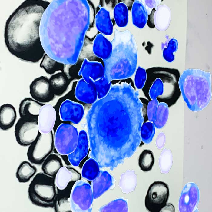 An art piece featuring circular shapes in blue hues, and black and grey orbs in charcoal.
