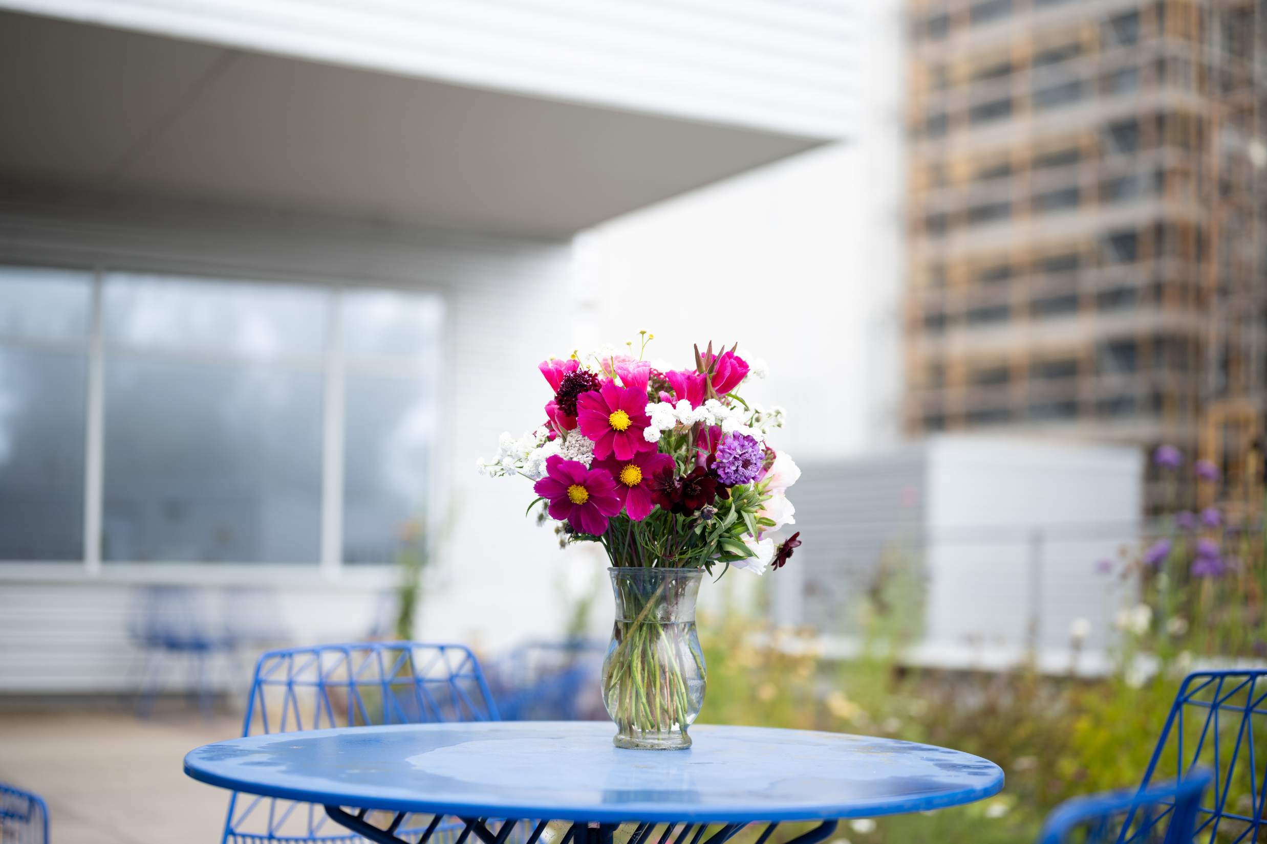 UCSF’s Largest Rooftop Gardens Undergo Vibrant Year-Long Transformation ...