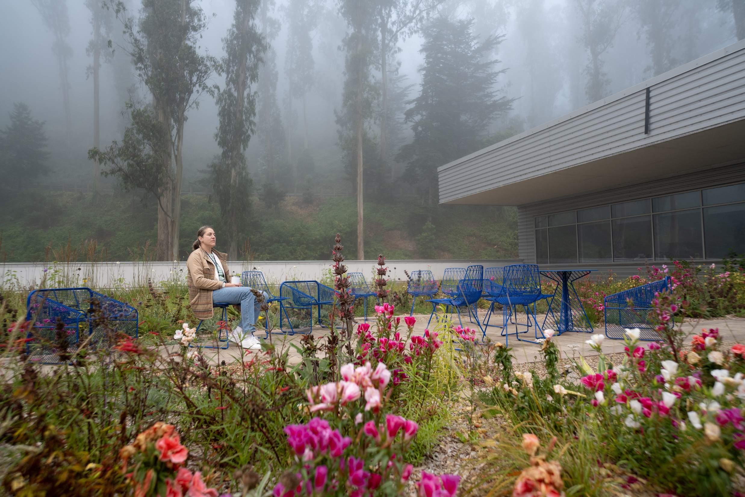 UCSF’s Largest Rooftop Gardens Undergo Vibrant Year-Long Transformation ...