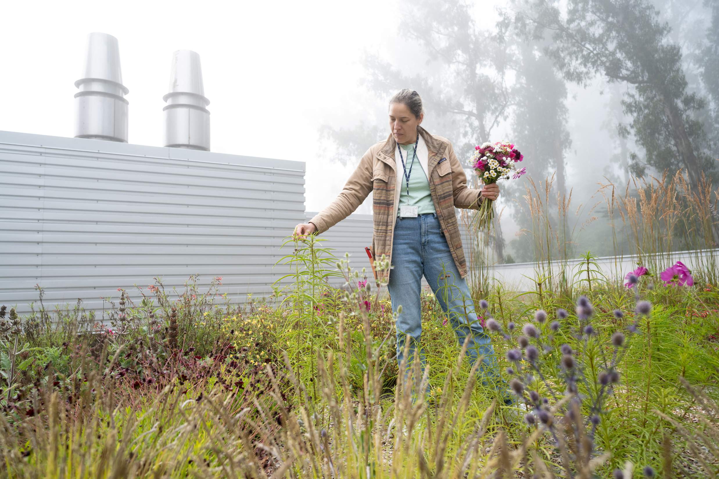 UCSF’s Largest Rooftop Gardens Undergo Vibrant Year-Long Transformation ...
