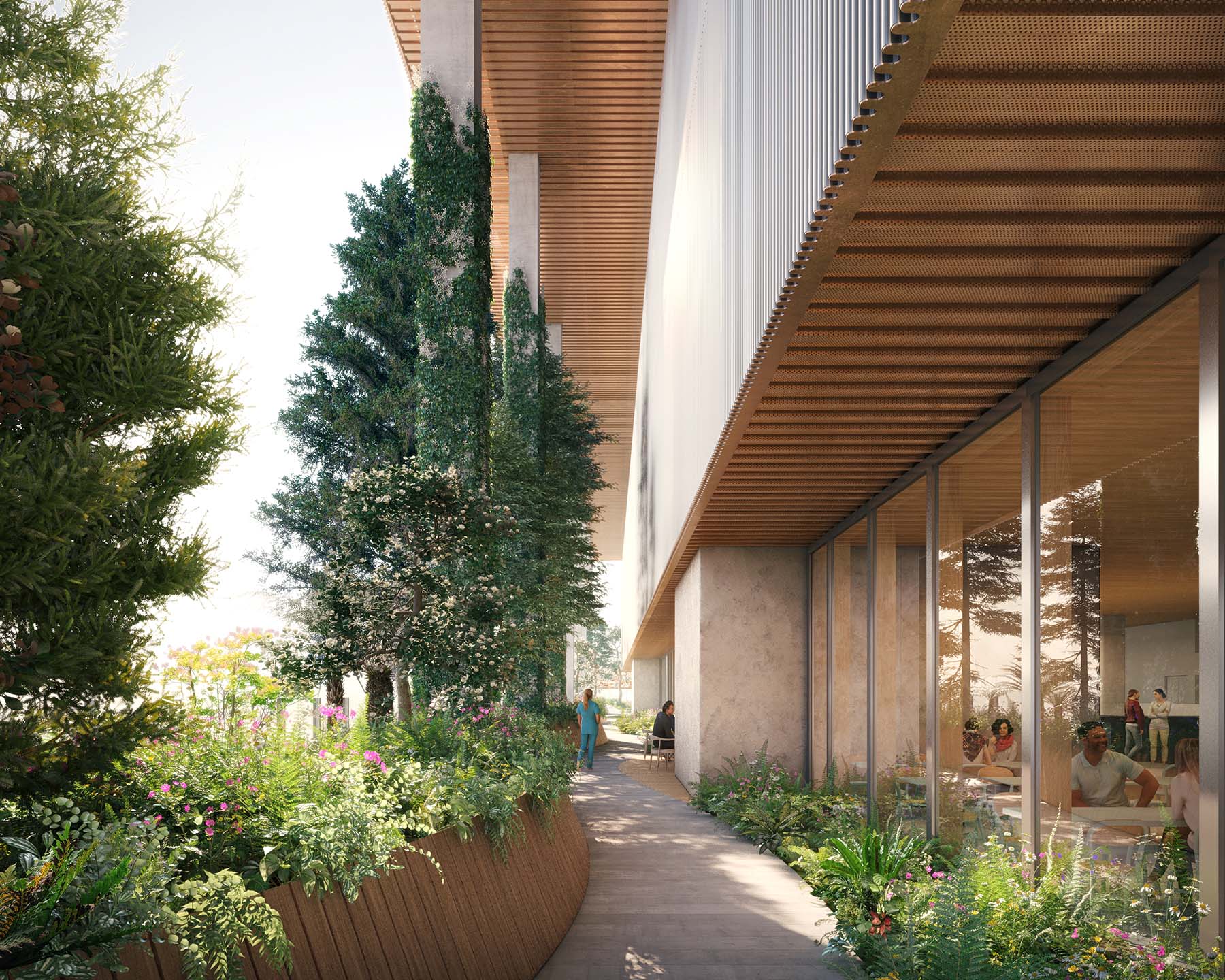 A rendering showing a winding walkway on a mezzanine floor surrounded by trees and ferns.