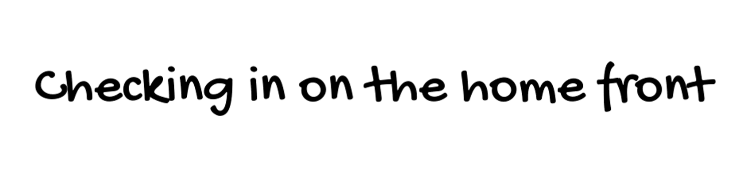 Handwritten-like text that reads "checking in on the home front."