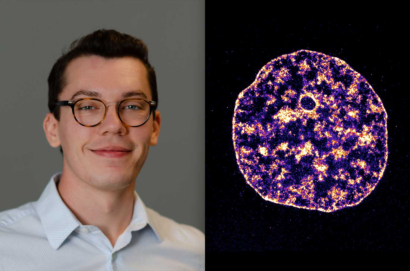 A composite side by side image showing Mark Pownall's headshot and a microscopic image of a zebrafish embryo.
