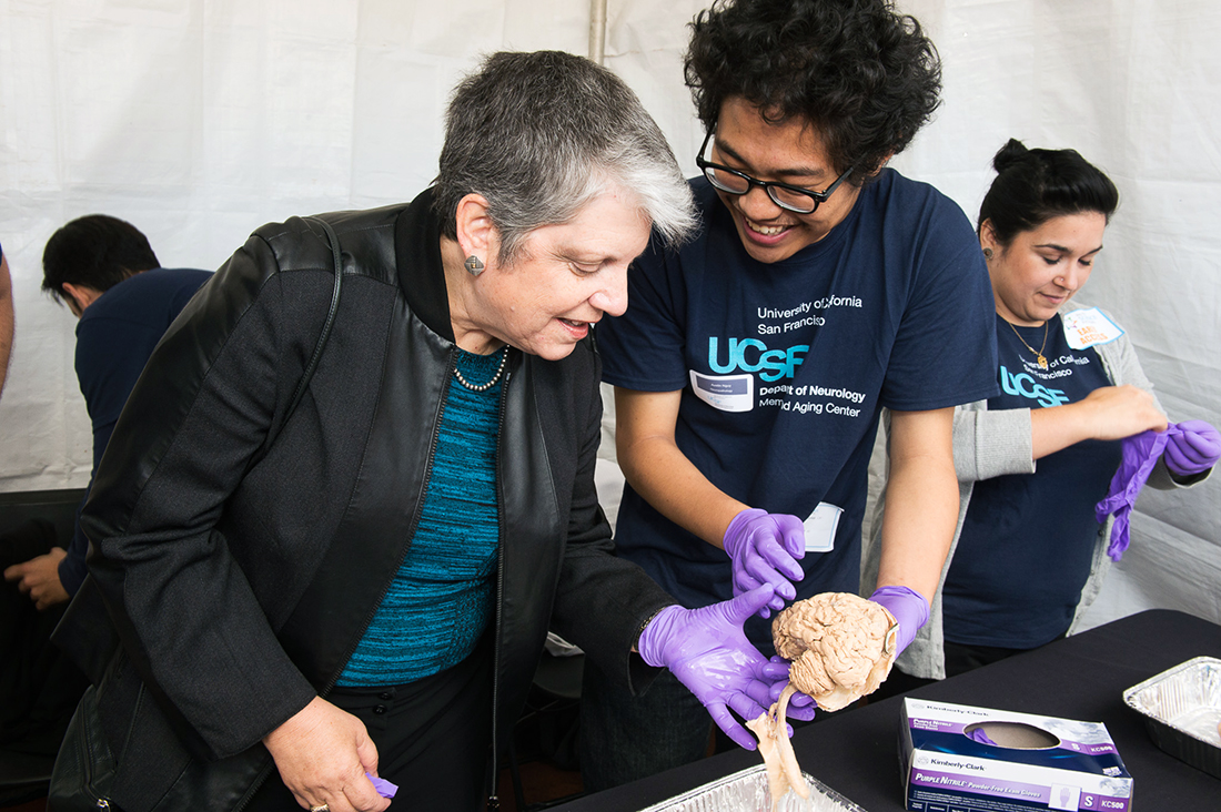 University of California President Janet Napolitano examines a brain at a science booth staffed by UCSF graduate students. 