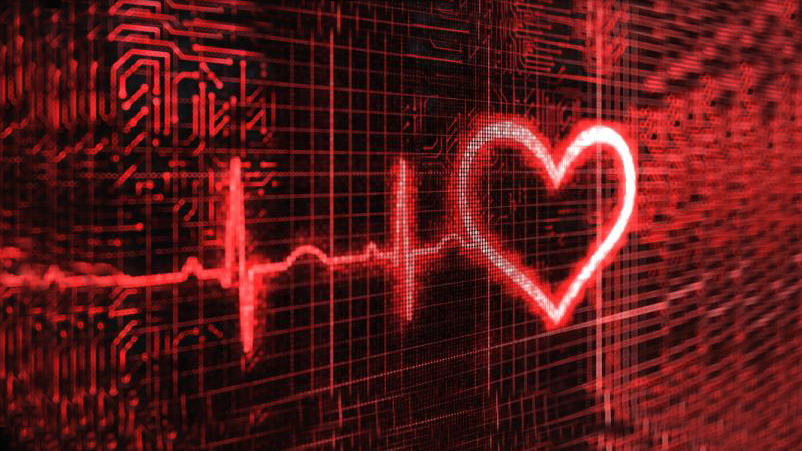 Heart EKG illustration