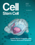 Cell Stem Cell cover