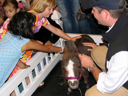 Dozens of patients enjoyed petting Thumbelina