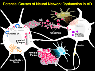 Illustration of potential causes of neural network dysfunction