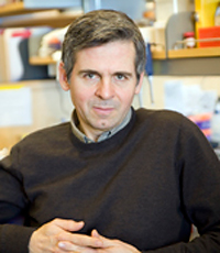 Arturo Alvarez-Buylla, PhD