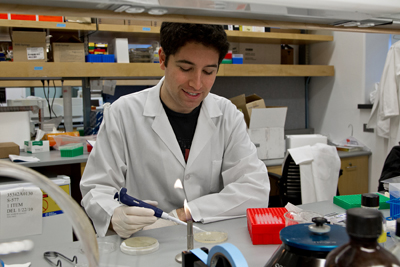 Sam Brondfield works in the lab.