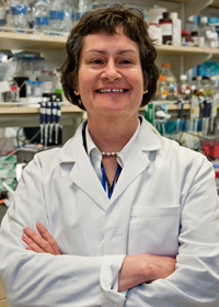 Susan Fisher, PhD