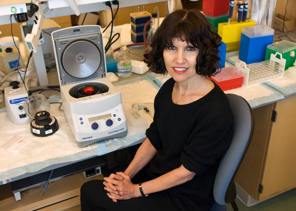 Kathy Giacomini, PhD