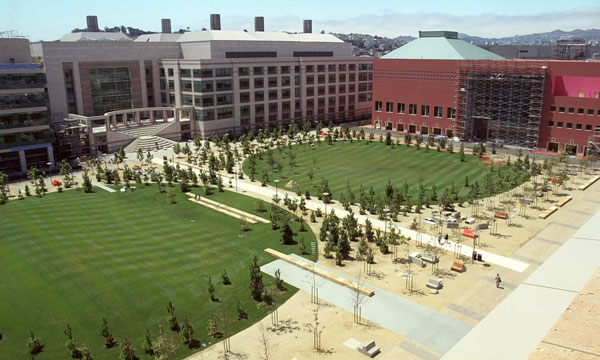 The central campus green, called the Koret Quad, is one of the many open spaces that are part of the Mission Bay development.