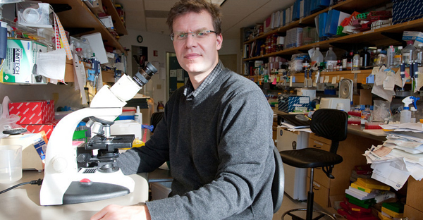 Matthias Hebrok, PhD