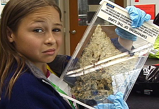 Sydney Locksley, daughter of UCSF scientist Richard Locksley, holds up a lung damaged by emphysema in a pathology laboratory.