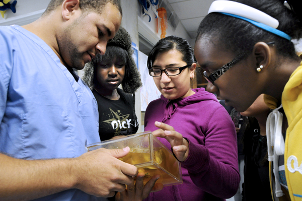 Eighth-grade students learn about the human heart at UCSF.