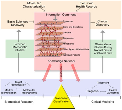 This diagram illustrates a comprehensive biomedical knowledge network that suppo