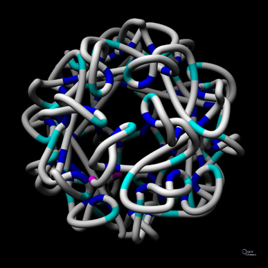 Picture of Modeled path of approximately 1000 nucleotides