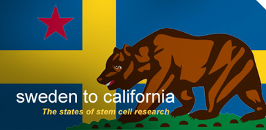 image of Sweden & California flags