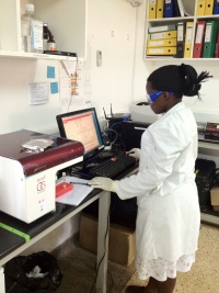 Photo of researcher analyzing biological samples