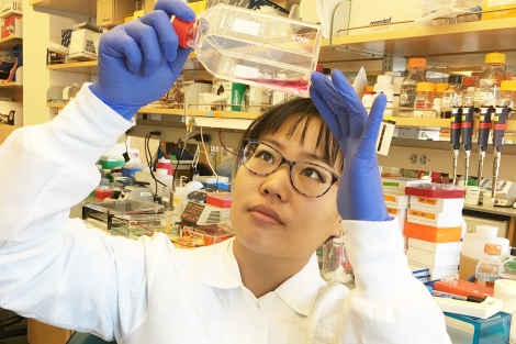 Ann Hane Ryu holds cell cultures in the lab