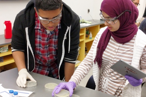 Rashaad Ali and Nusaibah Aldalali look at a petri dish