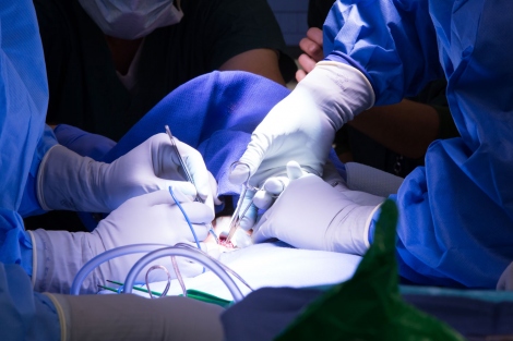 closeup of 2 gloved hands performing a surgical technique